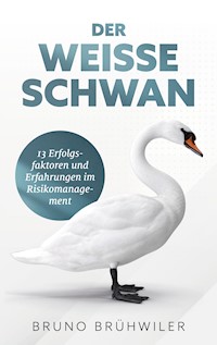 Der Weiße Schwan - Bruno Brühwiler - ebook