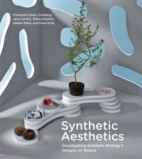 Synthetic Aesthetics - Ginsberg Alexandra Daisy, Calvert Jane, Schyfter Pablo - książka