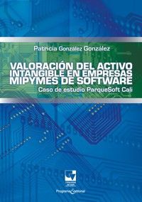 Valoración del activo intangible en empresas mipymes de software - Patricia González González - ebook