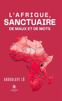 L’Afrique, sanctuaire de maux et de mots - Abdoulaye Lô - ebook