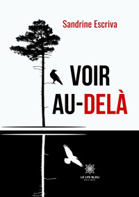 Voir au-delà - Sandrine Escriva - ebook