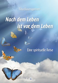 Nach dem Leben ist vor dem Leben - Tina Baumgartner - ebook
