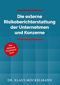 Die externe Risikoberichterstattung der Unternehmen und Konzerne - Klaus Möckelmann - ebook