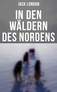 In den Wäldern des Nordens - Jack London - ebook