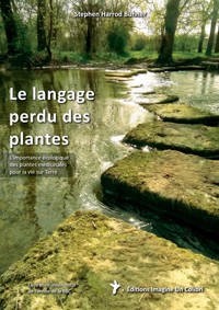 Le langage perdu des plantes - Stephen Harrod Buhner - ebook