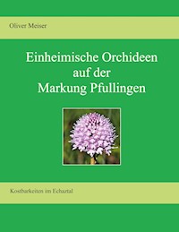 Heimische Orchideen auf der Markung Pfullingen - Oliver Meiser - ebook