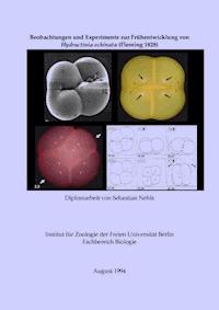 Beobachtungen und Experimente zur Frühentwicklung von Hydractinia echinata (Fleming 1828) - Sebastian Nehls - ebook