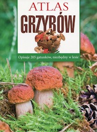 Atlas grzybów - Sokół Sławomir - książka