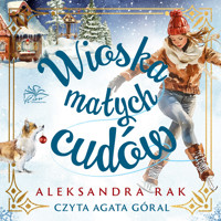 Wioska małych cudów - Aleksandra Rak - ebook + audiobook + książka