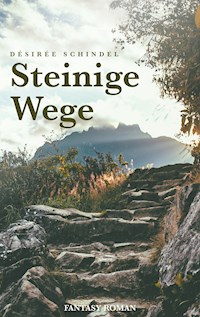 Steinige Wege - Désirée Schindel - ebook