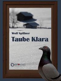 Taube Klara oder Zufälle gibt es nicht - Wolf Spillner - ebook