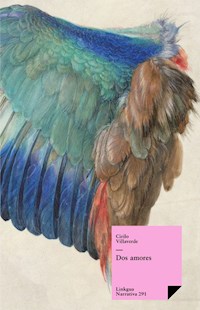 Dos amores - Villaverde Cirilo - ebook