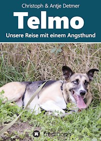 Telmo - Christoph & Antje Detmer - ebook