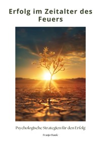 Erfolg im Zeitalter des Feuers - Franjo Haufe - ebook