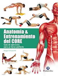 Anatomía y entrenamiento del core - Abigail Ellsworth - ebook