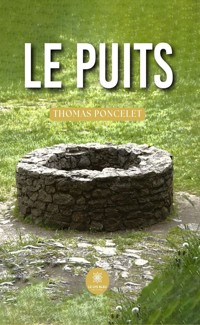 Le puits - Thomas Poncelet - ebook