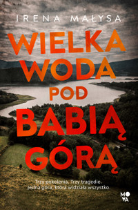 Wielka woda pod Babią Górą. Baśka Zajda. Tom 6 - Irena Małysa - książka