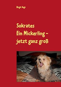 Sokrates  Ein Mickerling - jetzt ganz groß - Birgit Vogt - ebook