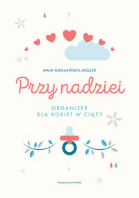 Przewodnik po zabytkach Krakowa - Michał Rożek - książka