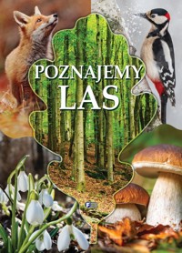 Poznajemy las - zbiorowa praca - książka