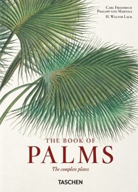 Martius. The Book of Palms. 40th Ed. - Lack H. Walter - książka