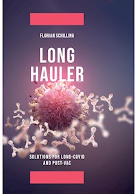 Long-Hauler - Florian Schilling - ebook