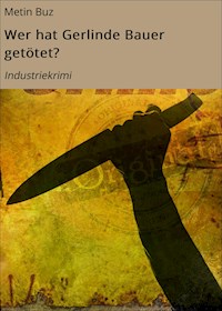 Wer hat Gerlinde Bauer getötet? - Metin Buz - ebook