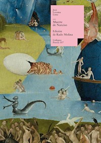 Muerte de Narciso - José Lezama Lima - ebook