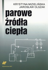 Parowe źródła ciepła - Mizielińska Krystyna, Olszak Jarosław - książka