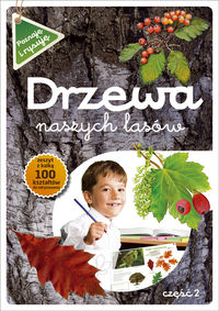 Drzewa naszych lasów część 2 Poznaję i rysuję -  - książka