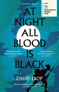 At Night All Blood is Black - Diop David - ebook