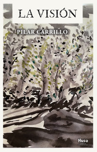 La visión - Pilar Carrillo - ebook