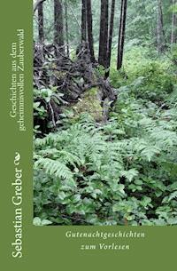 Geschichten aus dem geheimnisvollen Zauberwald - Sebastian Greber - ebook