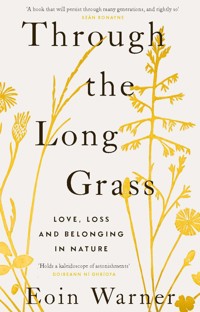 Through the Long Grass - Eoin Warner - ebook