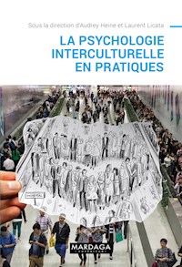 La psychologie interculturelle en pratiques - Audrey Heine - ebook