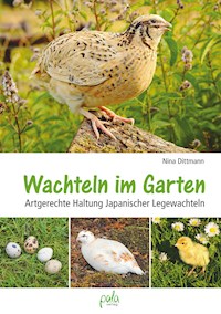 Wachteln im Garten - Nina Dittmann - ebook