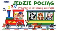 Jedzie pociąg rozkładanka -  - książka