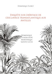 Enquête sur l'héritage de l'esclavage transatlantique aux Antilles - Dominique Floret - ebook