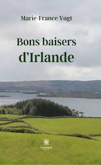 Bons baisers d’Irlande - Marie-France Vogt - ebook