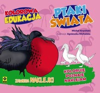 Kolorowa edukacja. Ptaki świata - Michał Kryciński - książka