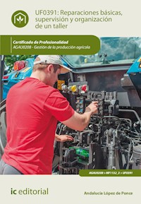 Reparaciones básicas, supervisión y organización de un taller. AGAU0208 - Andalucía López de Ponce - ebook