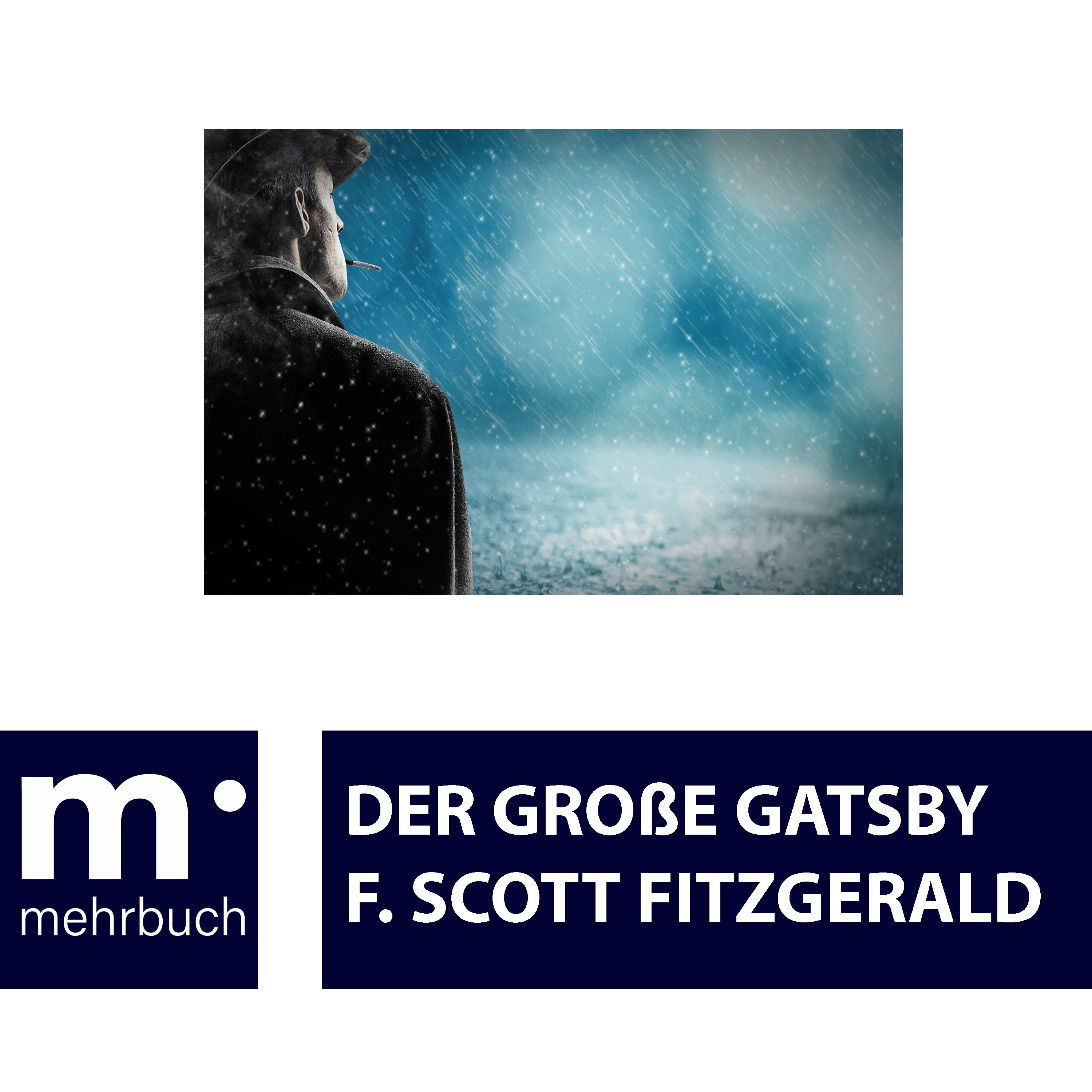 Der große Gatsby - F. Scott Fitzgerald - ebook