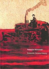 Dzienniki Zenona Kałuży - Wiśniewski Radosław - książka