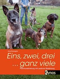 Eins, zwei, drei ... ganz viele - Anne Rosengrün - ebook