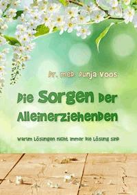 Die Sorgen der Alleinerziehenden - Dr. med. Dunja Voos - ebook