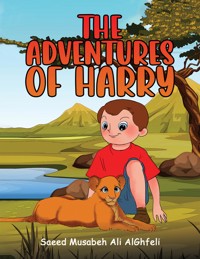 The Adventures of Harry -  - ebook