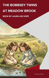 The Bobbsey Twins at Meadow Brook - Laura Lee Hope - ebook
