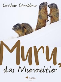 Murru, das Murmeltier - Lothar Streblow - ebook