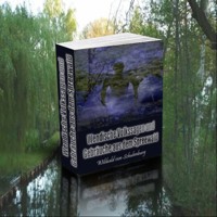 Wendische Volkssagen und Gebräuche aus dem Spreewald. Wilibald von Schulenburg. - Otmar Trierweiler - ebook