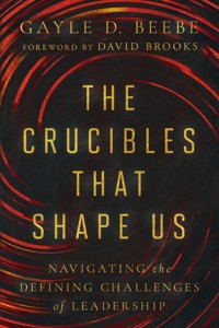 The Crucibles That Shape Us - Gayle D. Beebe - ebook